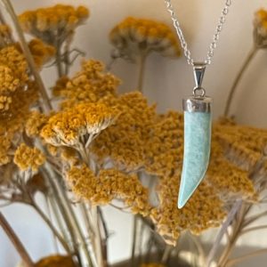 Amazonite Pendente